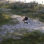 Tina *